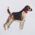 Japanese Dog Embroidered Long-Sleeve Shirt